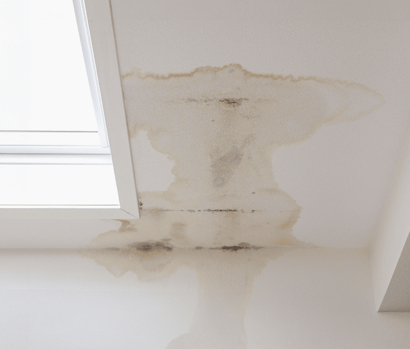 Roof Leak Repair Service in Calgary