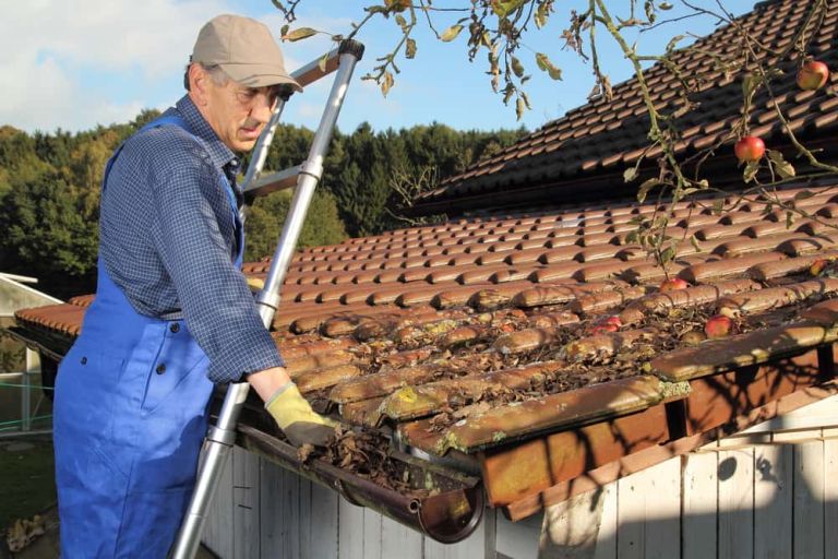 Gutter cleaning services in calgary 768x512