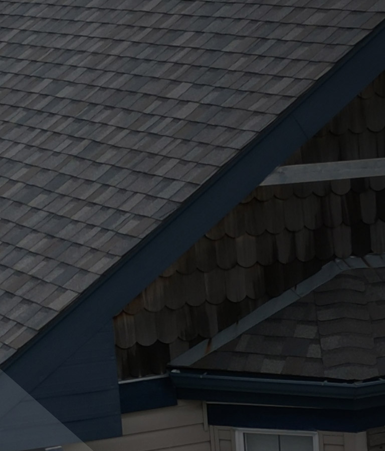 Residential Roofing Services from No Payne