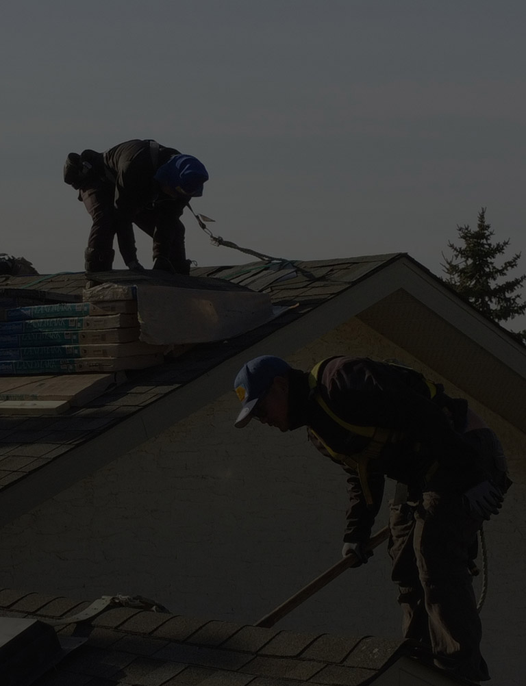 Roofers replacing shingles