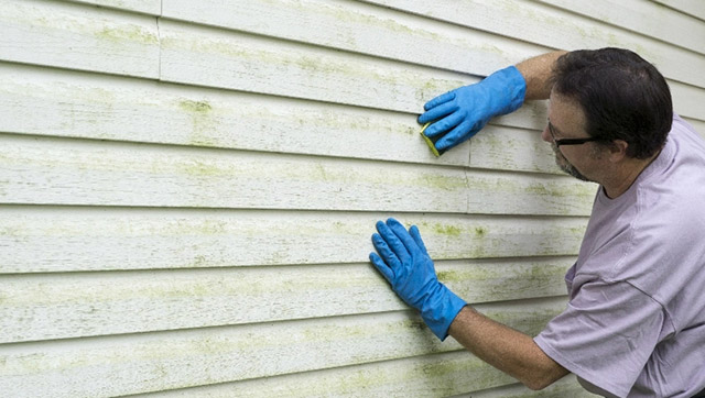 Siding with mold